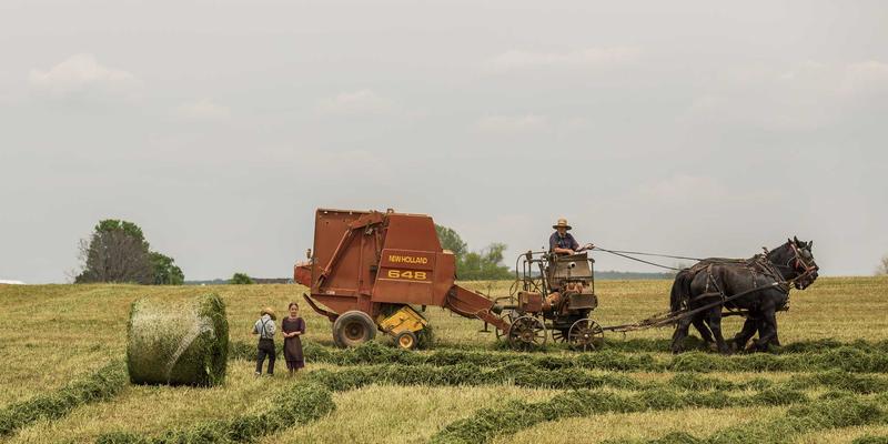 BCP投资18:专业资产管理如何通过科学资产配置实现财富稳健增长