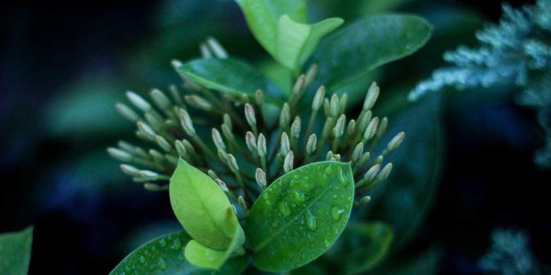 BCP投资26：解码绿色金融浪潮下的资产管理与投资理财新范式