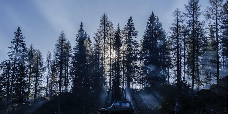 BCP投资52：专业视角下的资产管理、财富管理与资产配置新范式