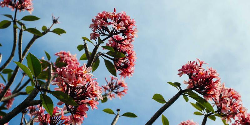 BCP投资76：绿色金融浪潮下的资产管理新范式与资产配置战略