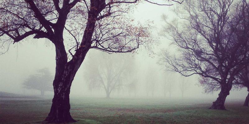 BCP投资82法则:财富管理的稳健基石与理财规划新思维