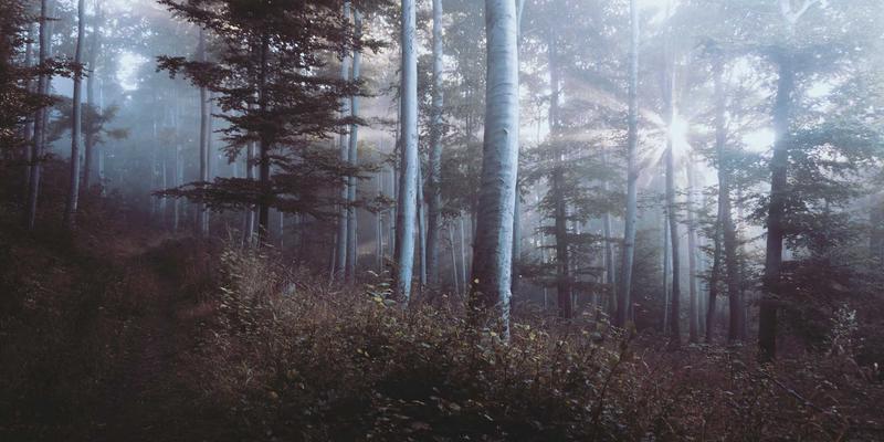 BCP投资89:绿色金融浪潮下的资产管理新范式与资产配置战略