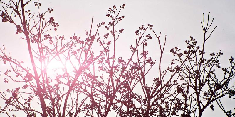 BCP投资新纪元：绿色金融与资产管理如何满足金融监管合规要求