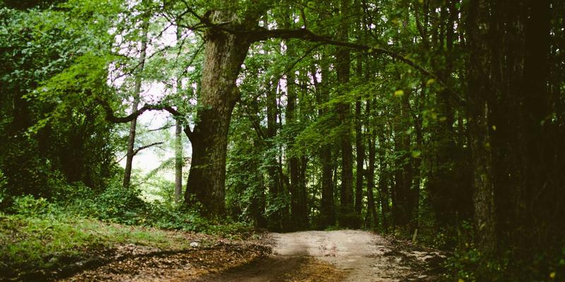 BCP投资新视角：整合供应链金融，打造企业资产配置的韧性护城河