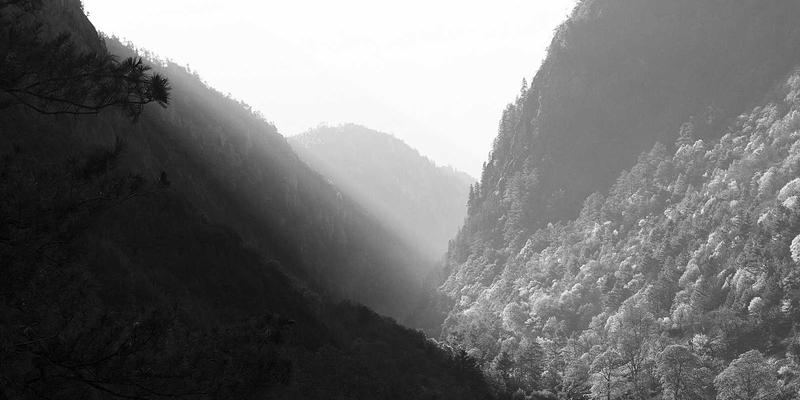 后疫情时代企业资产配置新策略：BCP投资中远程办公与数字化韧性的理财规划分析