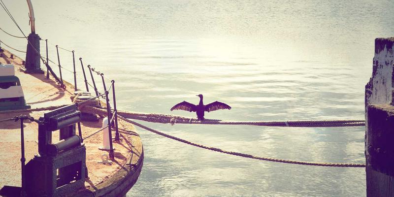 抵御未来冲击：如何运用情景规划优化资产配置与绿色金融策略