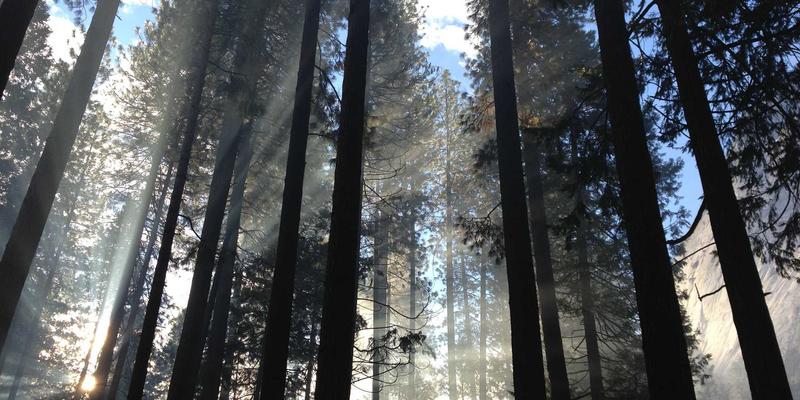 数字化转型浪潮下，企业BCP投资新焦点：科技基础设施与无形资产配置策略