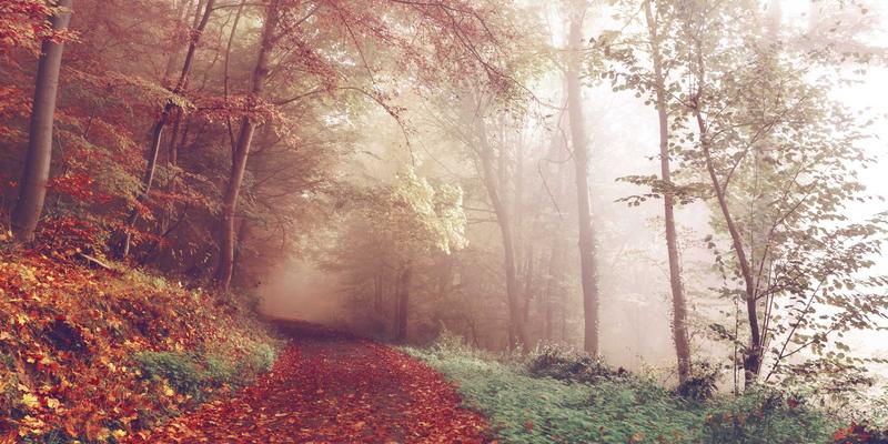 绿色金融与智慧理财：科技巨头如何运用BCP原则重塑全球供应链资产配置