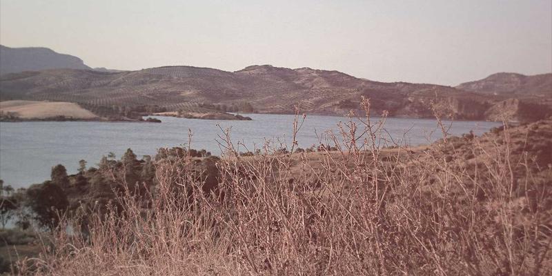 绿色金融浪潮下的资产管理新课题：BCP投资中如何践行“现金为王”的流动性管理