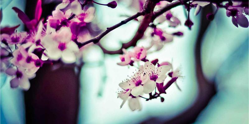 财富管理新维度：从BCP投资视角构建供应链金融韧性